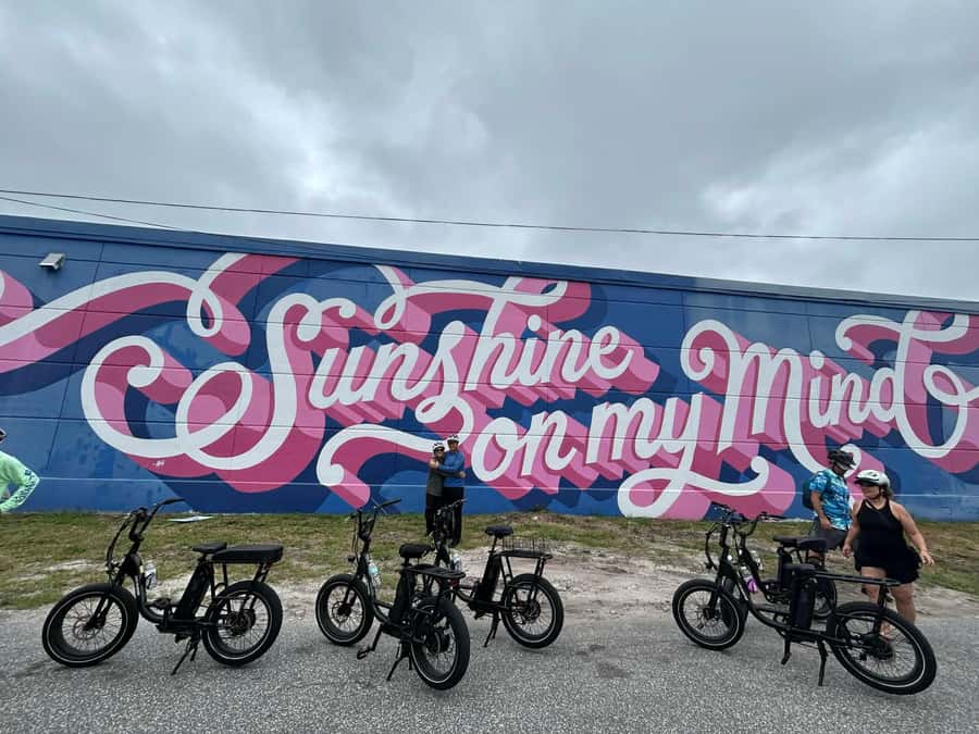 St. Petersburg, FL: Sightseeing & Murals Electric Bike Tour - Murals, artists, and downtown streets