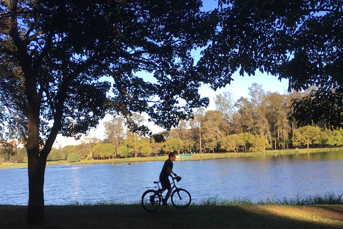 Street Art and Park Bike Tour - What the $85 price includes