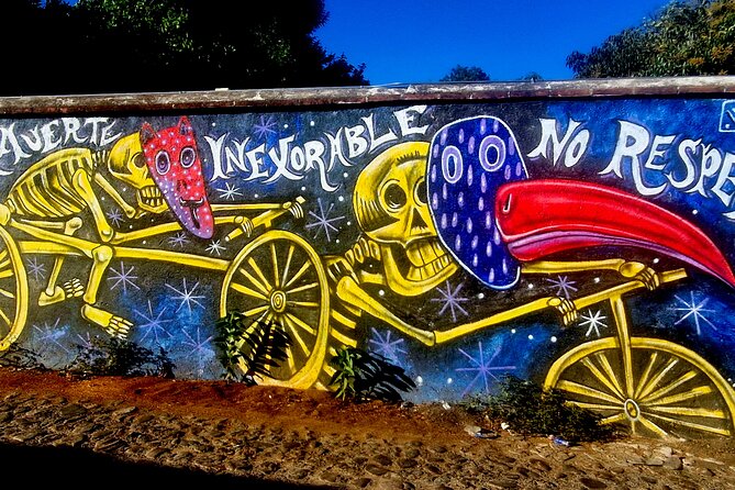 Street Art Tour With An Artist in Oaxaca - Murals and neighborhood life in Jalatlaco