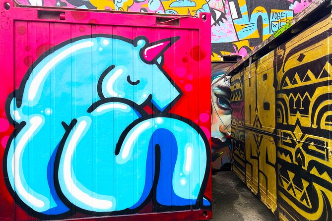 Street Art Walking Tour, private local Dutch guide - Timing, meeting point, and useful preparation