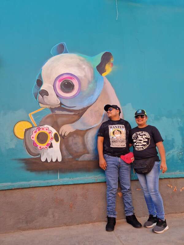 Street Art with an artist - Following Sara through Jalatlaco and Xochimilco