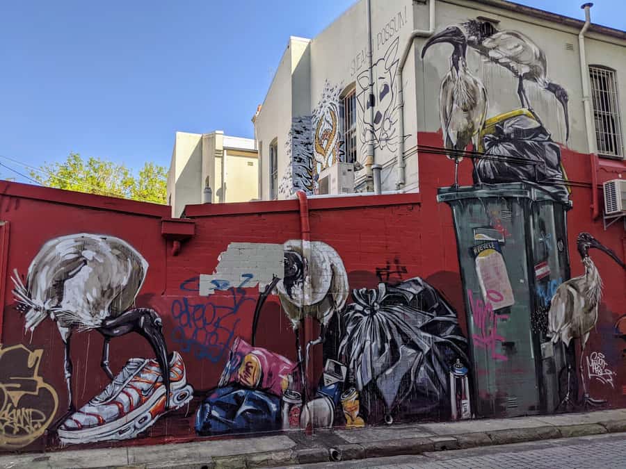 Sydney: Street Art & Small Bar Tour with Complimentary Drink - Why this Sydney tour works so well