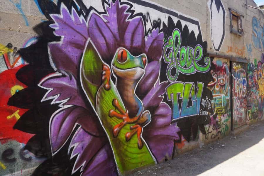 Tel Aviv: Street Art and Graffiti Tour - Key things to know before you book