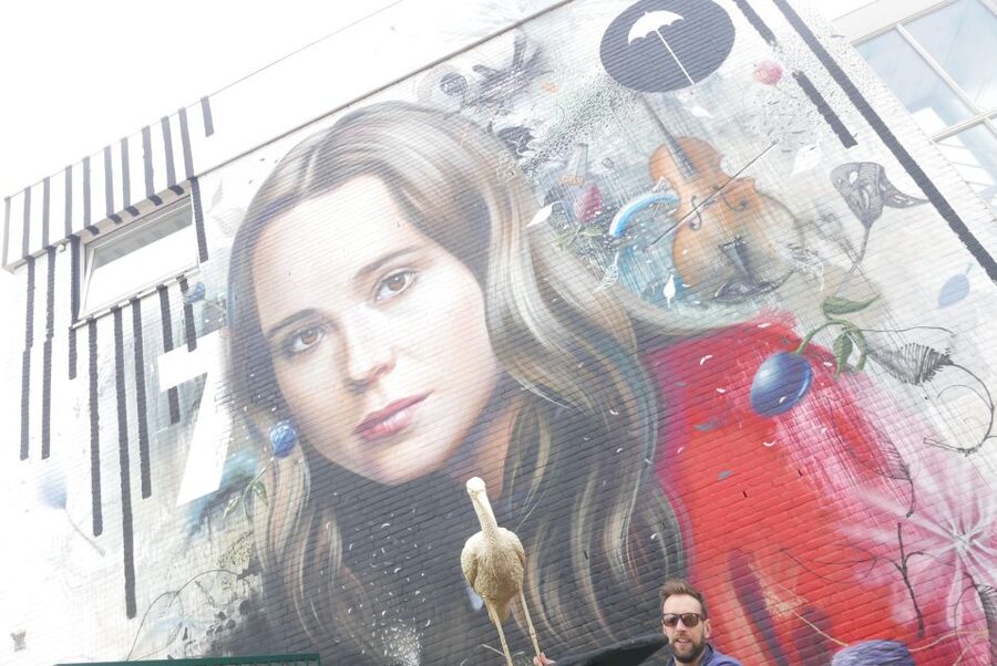 The Hague: Street Art Tour by Bike - A short stop at Laakhaven