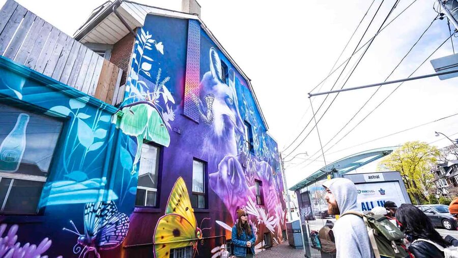 Toronto: Must Do NonTouristy Street Art Tour by local Artist - What makes the guide valuable