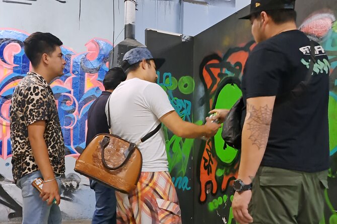 Tour Evolution of Muralism paints your Grafiti - What the $71.36 price includes