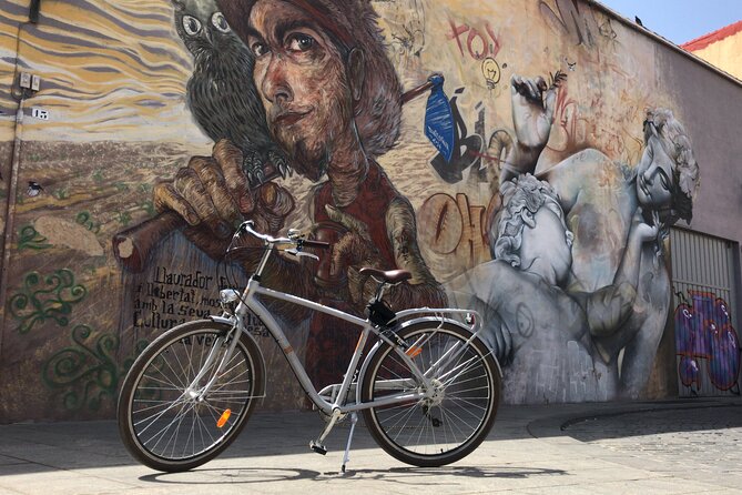 Valencia Street Art | Private Tour by Bike or Electric Ride - Why Valencia street art works especially well by bike