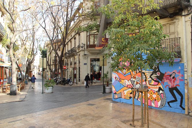 Valencia Street Art | Private Tour by Bike or Electric Ride - Is $72.01 per person good value?