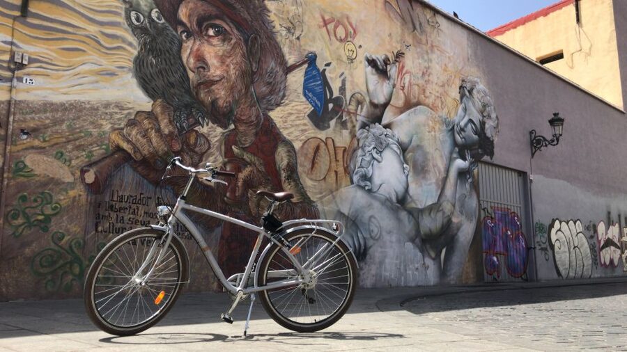 Valencia: Street Art Tour on Bicycle, E-Bike or E-Step - Riding through El Carmen’s narrow lanes