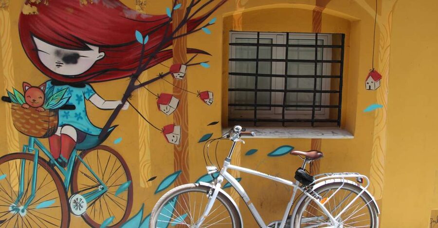 Valencia: Street Art Tour on Bicycle, E-Bike or E-Step - Small drawbacks to keep in mind