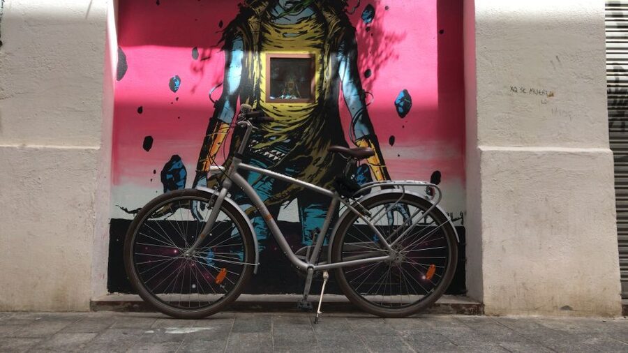 Valencia: Street Art Tour on Bicycle, E-Bike or E-Step - Beginning with the Great Flood of 1957