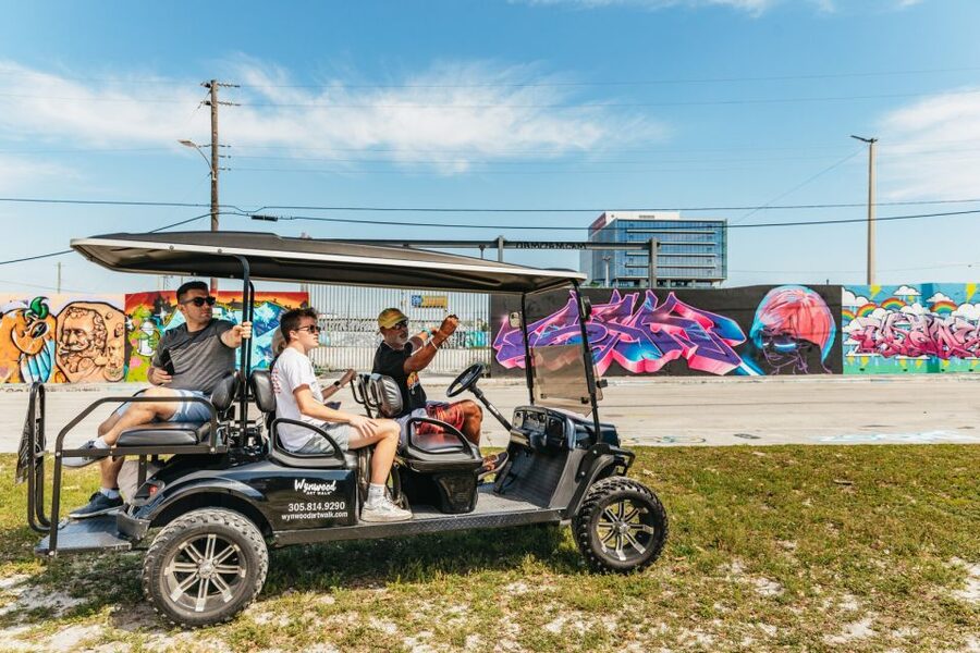Wynwood Art District 1-Hour Street Art Tour by Golf Cart - Wynwood Walls and the district’s famous sights