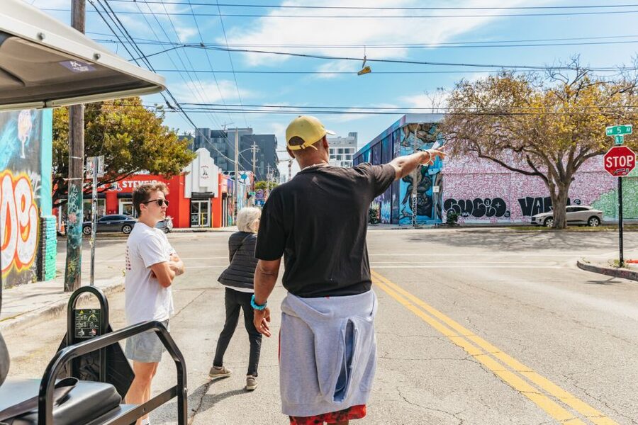 Wynwood Art District 1-Hour Street Art Tour by Golf Cart - What the $45 price buys you