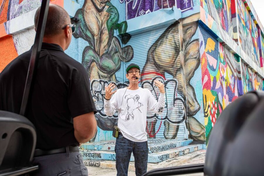 Wynwood Art District 1-Hour Wynwood Buggies Street Art Tour - Is $45 a fair price?