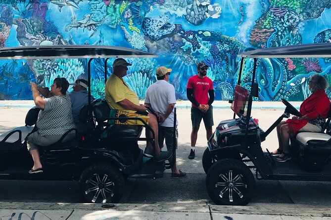 Wynwood Graffiti Golf Cart Small-Group Tour - Breweries, galleries, and places to return later