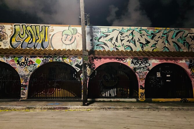 Wynwood Graffiti Golf Cart Tour After Dark - Museum of Graffiti: Important, But Only From the Outside