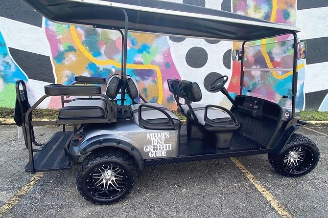 Wynwood Street Art Tour - Artist Lead -VIP Cart - Why an artist-led tour changes what you see