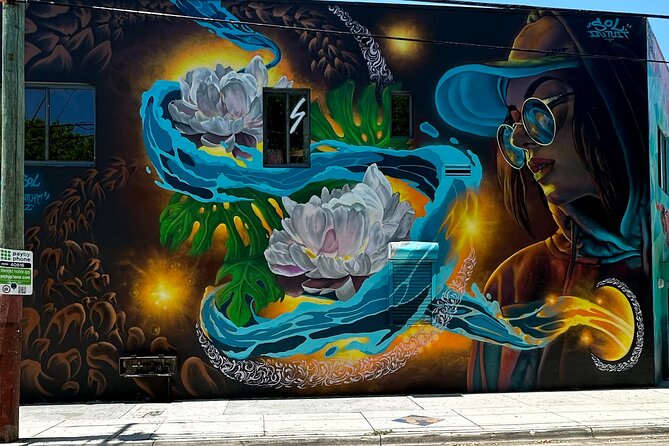 Wynwood Street Art Tour - Artist Lead -VIP Cart - The stories behind the paint