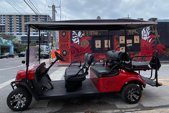 Wynwood Street Art Tour - Artist Lead -VIP Cart - Starting at 252 NW 29th Street